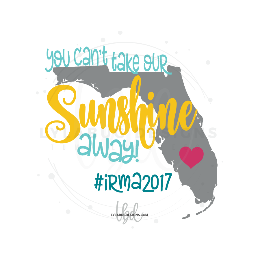 Florida - You Can't Take Our Sunshine Away! DECAL