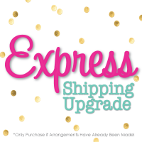 EXPRESS SHIPPING UPGRADE